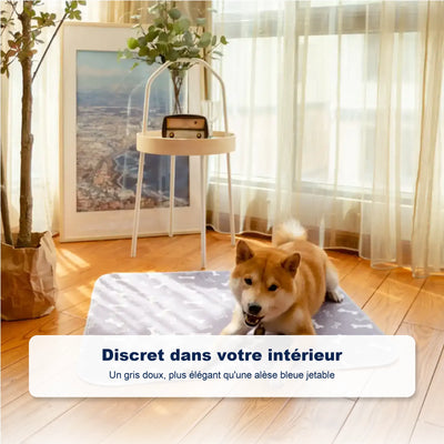 Le seul tapis de propreté dont votre chien aura besoin