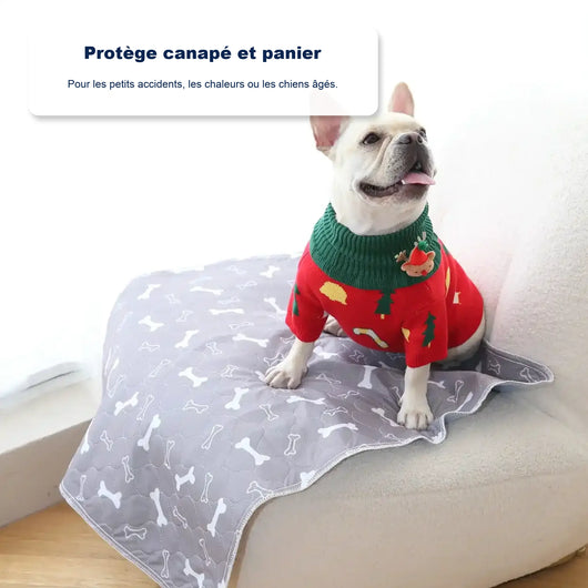 Le seul tapis de propreté dont votre chien aura besoin