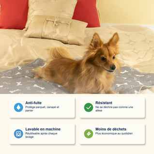 Tapis de propreté pour chien