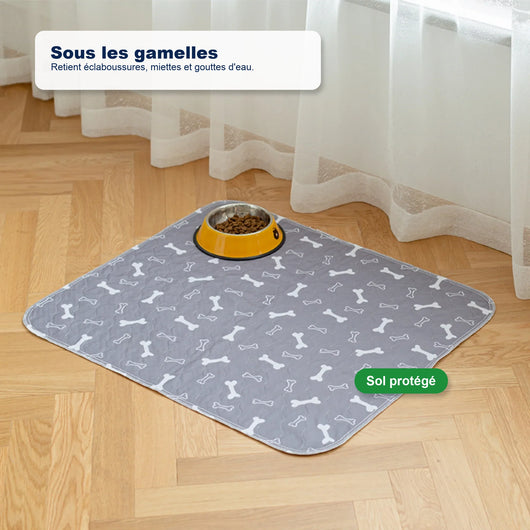 Le seul tapis de propreté dont votre chien aura besoin
