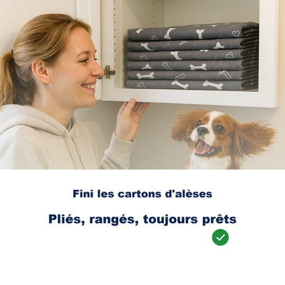 Le seul tapis de propreté dont votre chien aura besoin