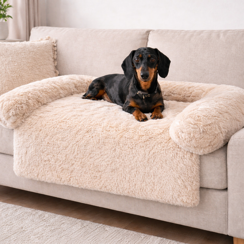 Protège Canapé Anti-Stress pour Chien