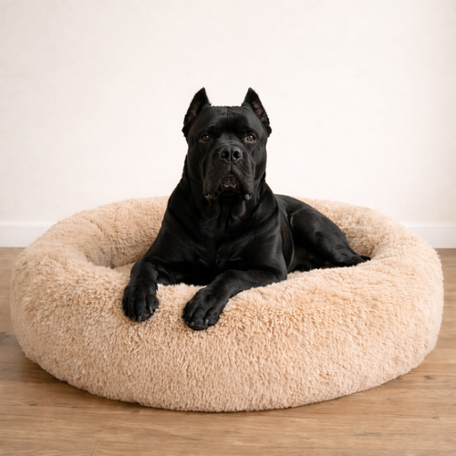 Panier Anti-Stress pour Chien – Coussin Apaisant