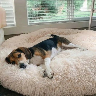 Panier Anti-Stress pour Chien – Coussin Apaisant