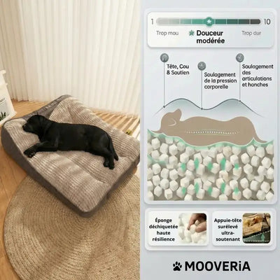 Lit Orthopédique Premium Pour Chiens âgés