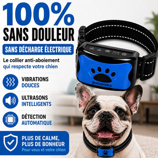 Collier anti-aboiement sans douleur