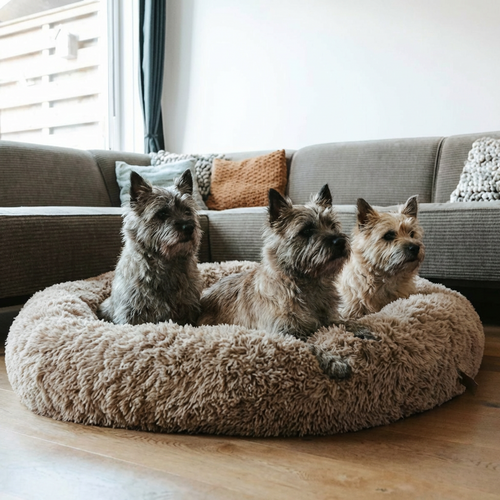 Panier Anti-Stress pour Chien – Coussin Apaisant