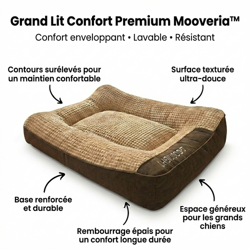 Lit Orthopédique Premium Pour Chiens âgés