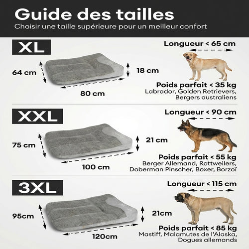 Lit Orthopédique Premium Pour Chiens âgés