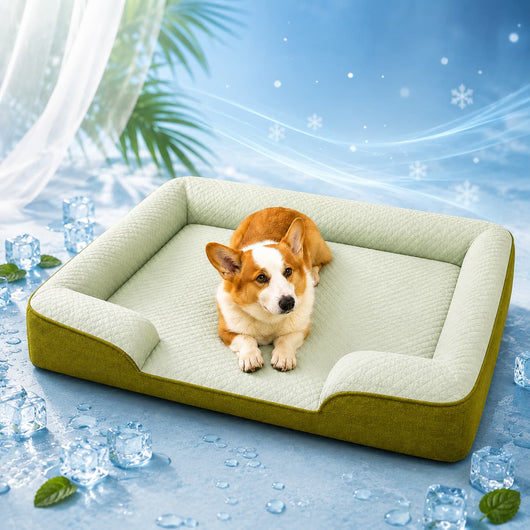 Panier Fraîcheur pour Chien – Confort Été