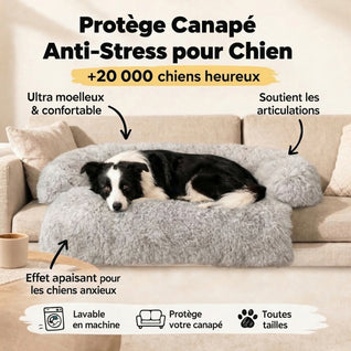 Protège Canapé Anti-Stress pour Chien
