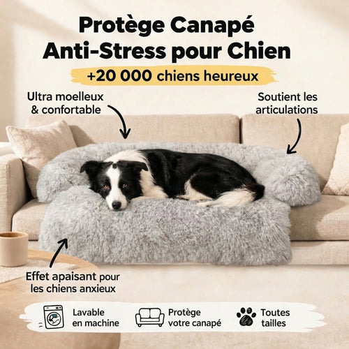 Protège Canapé Anti-Stress pour Chien