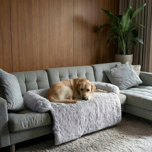 Protège Canapé Anti-Stress pour Chien